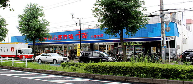 生鮮小売市場千城小倉台店（約650ｍ）