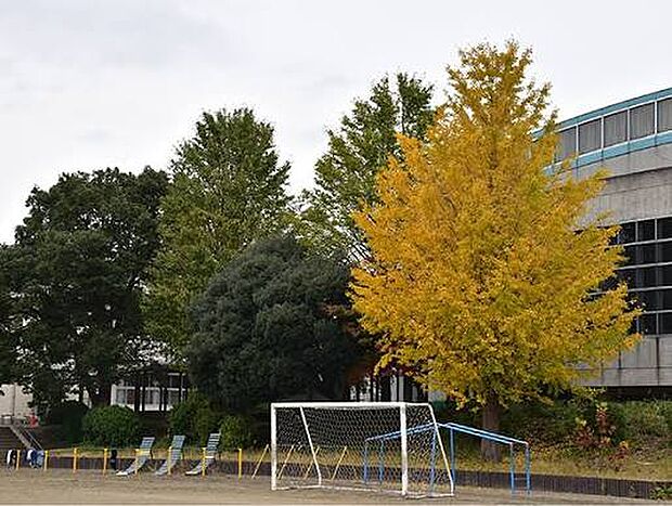 千葉市立大森小学校(約700m)