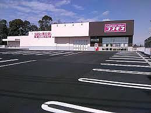 ドラッグストアコスモス 高津戸店（約2700m）