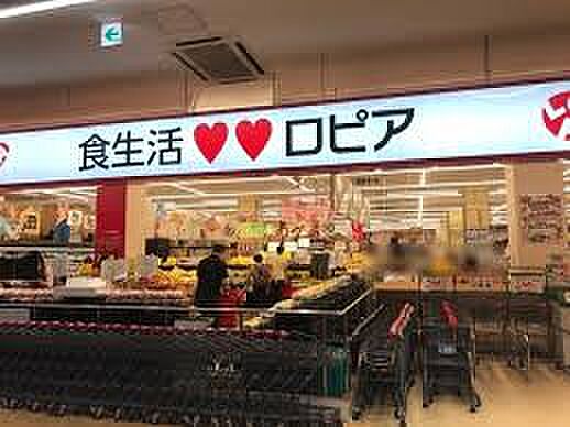ロピア 蘇我島忠ホームズ店（約600m）徒歩約8分の距離にあるスーパーマーケットです。毎日の食材の買い出しにも困りませんね。