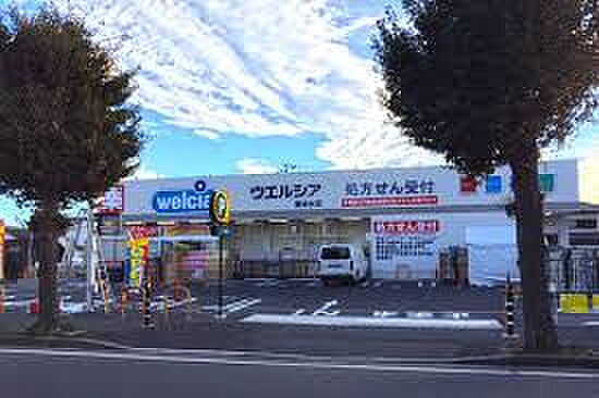 ウエルシア勝田台店（約1300m）徒歩約17分の距離にあるドラッグストアです。お薬はもちろん日用品や食べ物などの品揃えも豊富です。