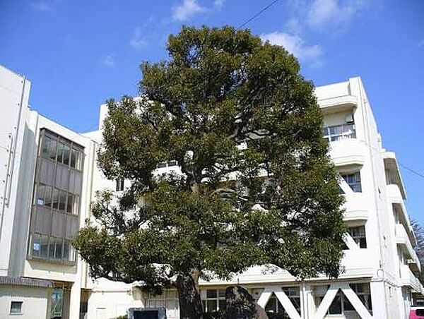 船橋市立八木が谷中学校（約1800m）