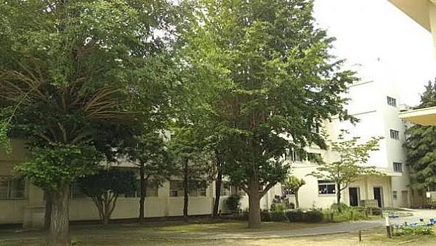 千葉市立若松小学校（約1700m）