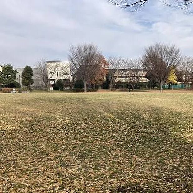 若松町公園（約140m）
