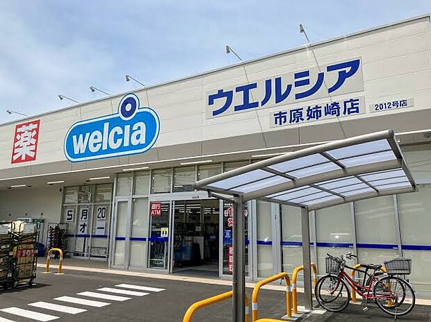 ウエルシア市原姉崎店(約1500m)