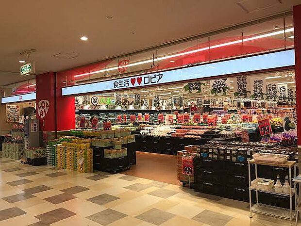 ロピア 千城台店(約550m)