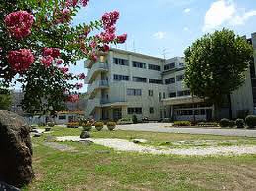 佐倉市立佐倉小学校(約140m)