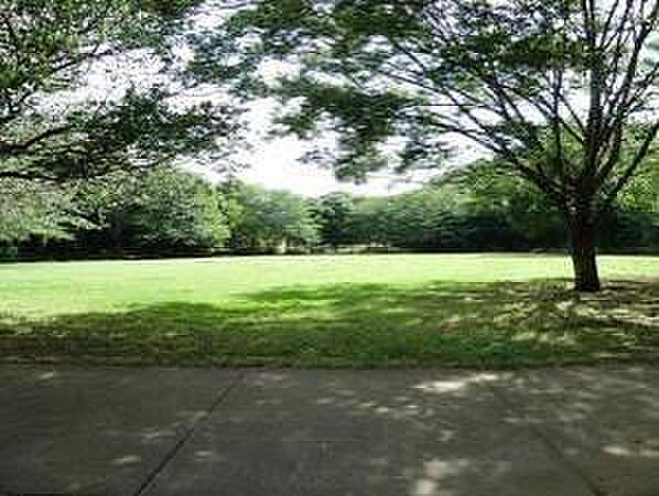 美しが丘近隣公園(約750m)