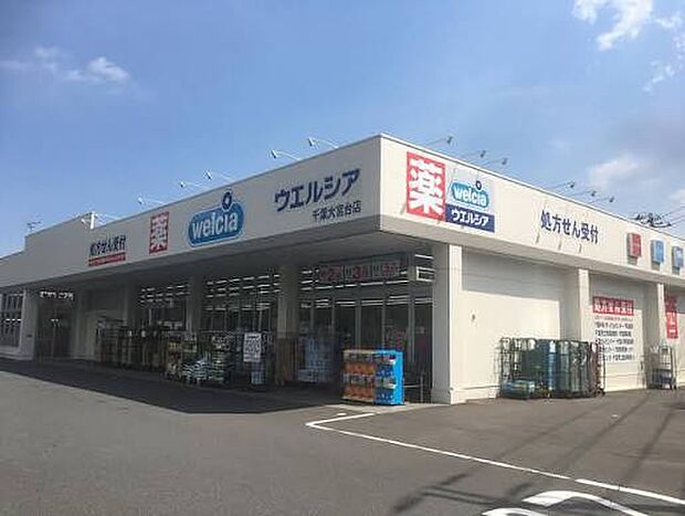 ウエルシア千葉大宮台店(約800m)