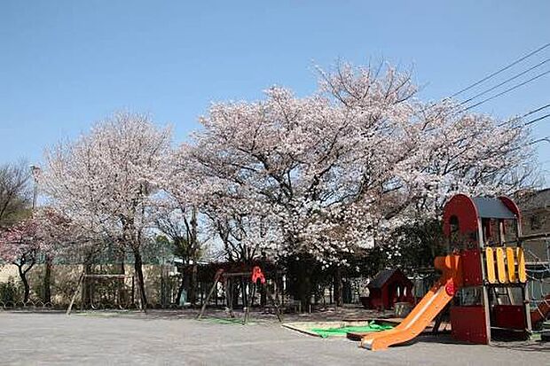 大宮幼稚園(約650m)