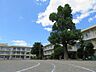周辺：千葉市立川戸小学校（約700m）