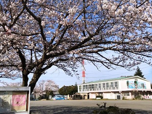 四街道市立山梨小学校(約180m)