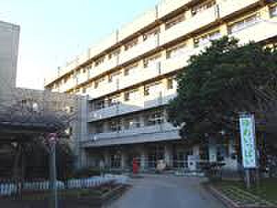 船橋市立坪井小学校（約650m）