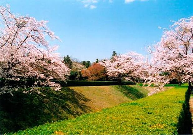 佐倉城址公園(約850m)