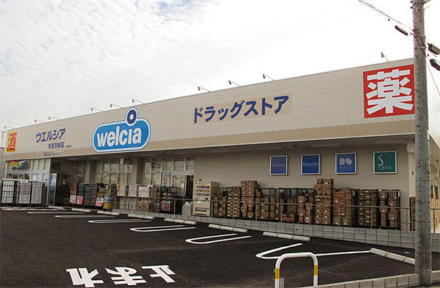 ウエルシア市原青柳店(約750m)