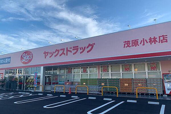 ヤックスドラッグ茂原小林店（約2200m）徒歩約28分の距離にあるドラッグストアです。お薬はもちろん日用品や食べ物などの品揃えも豊富です。