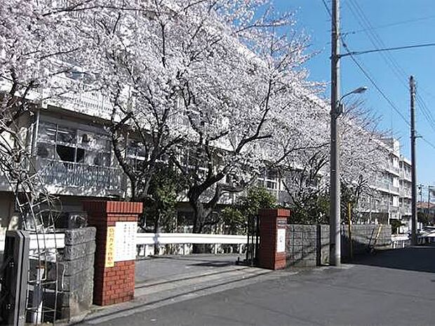千葉市立宮野木小学校（約230m）