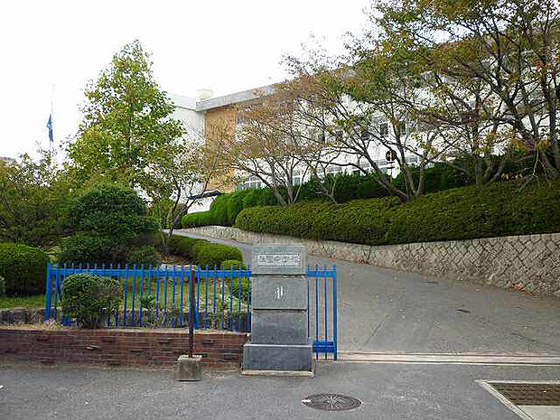 【中学校】熊野中学校まで246ｍ