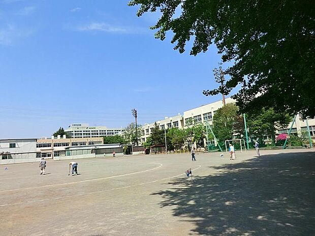 大和市立大和小学校　1000ｍ　