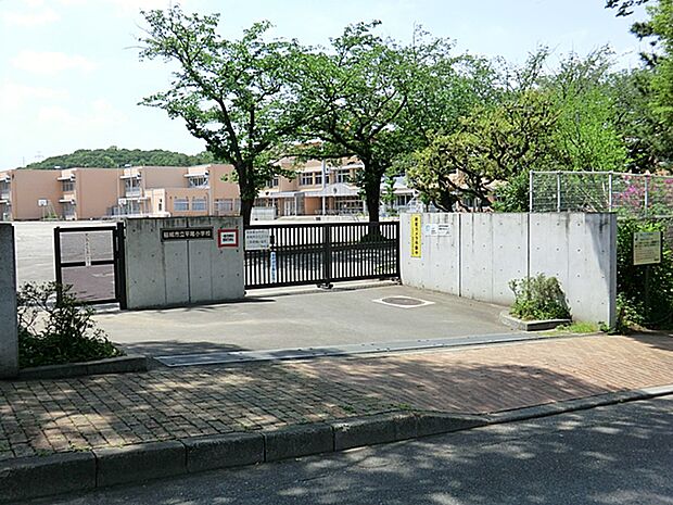 稲城市立平尾小学校　700ｍ