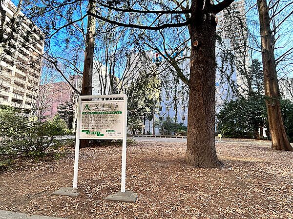五橋公園（666m）