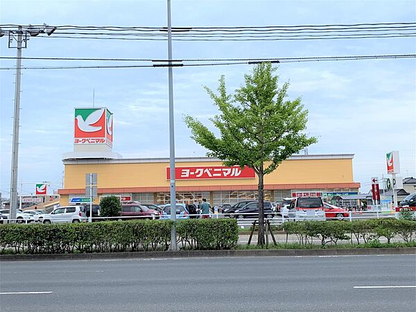 ヨークベニマル遠見塚店（261m）