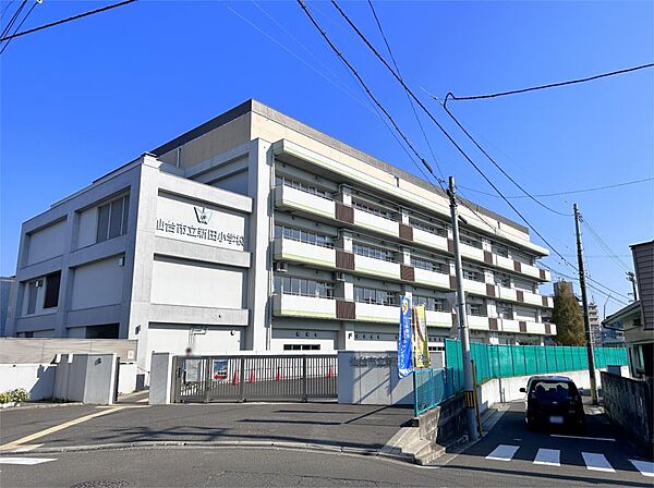 仙台市立新田小学校（598m）