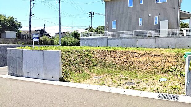 10号地