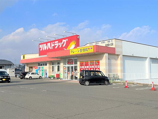ツルハドラッグ 仙台緑ケ丘店(1011m)