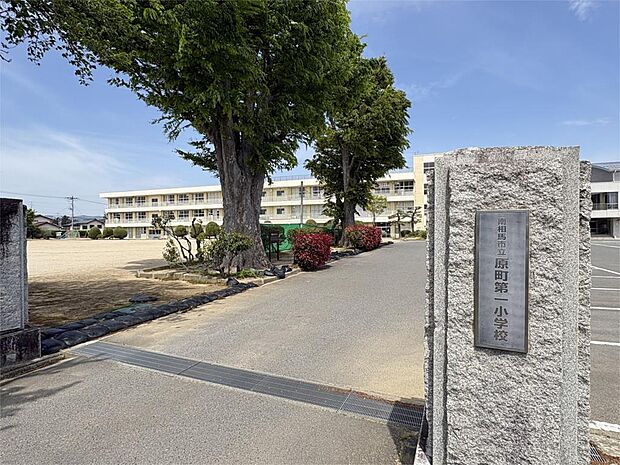 原町第一小学校(2044m)