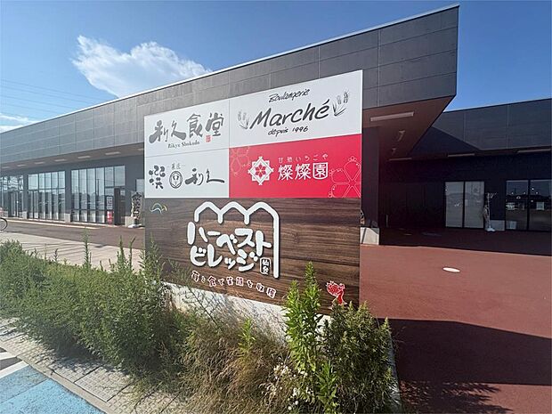 仙台ハーベストビレッジ店（1252m）