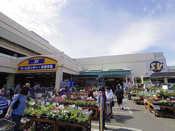 画像14:【スーパー】スーパーバリュー・練馬大泉店まで427ｍ