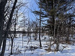 北海道河東郡鹿追町鹿追基線