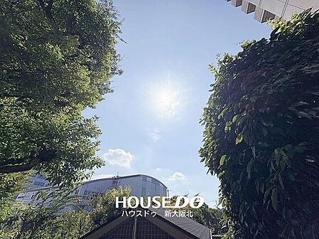 ■バルコニーからの眺望です！■植栽があるのでプライバシーは守られつつ自然の光がしっかりと差し込みます！