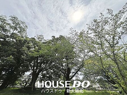 ■四季の移ろいを身近に感じられる心地よい眺望です！■自然を感じながら、ゆったりとした時間をお過ごしいただけます◎
