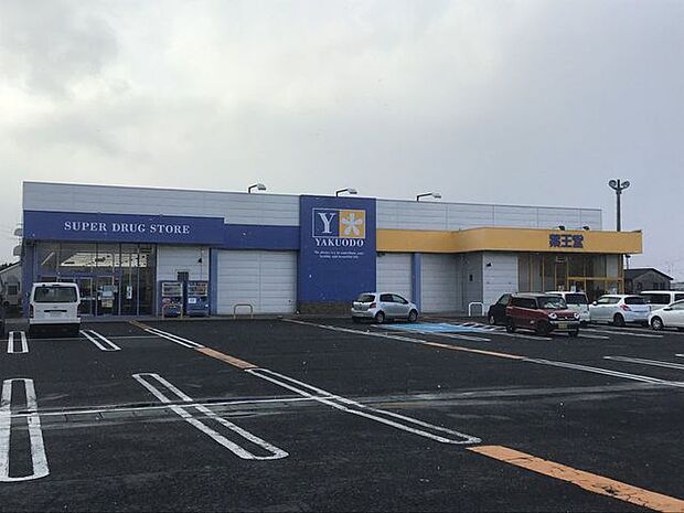 薬王堂 おいらせモール店 2220m