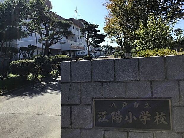 八戸市立江陽小学校 620m