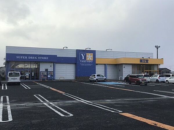 薬王堂 おいらせモール店 3300m