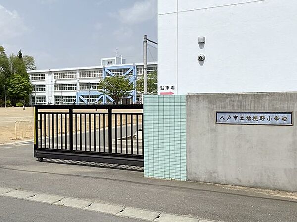 八戸市立桔梗野小学校 240m