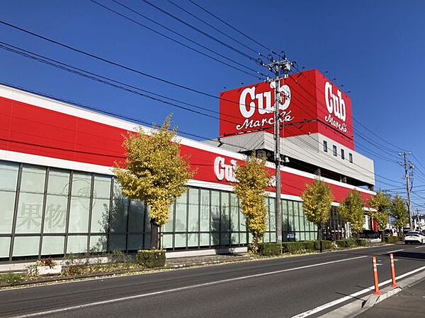 カブ・マルシェ 江陽店 910m