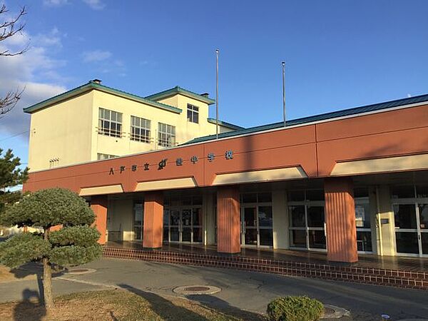 八戸市立鮫中学校 500m
