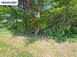 青森県三戸郡階上町大字金山沢字藤子