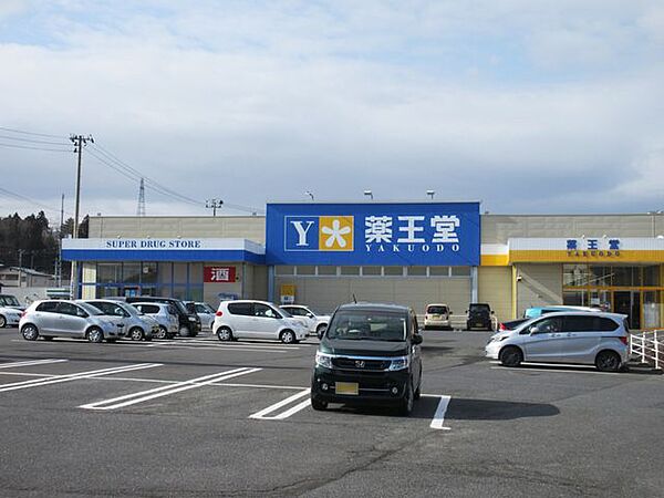 薬王堂 八戸田向店 500m