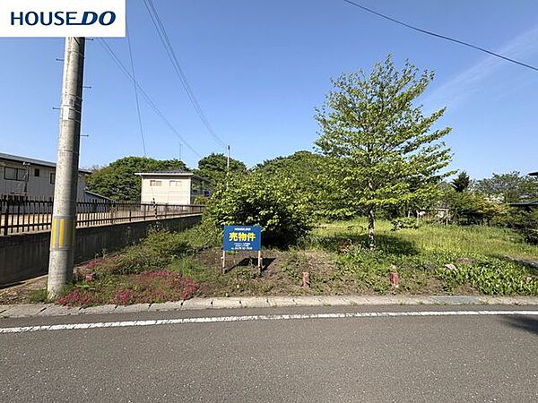 外観：302000006459