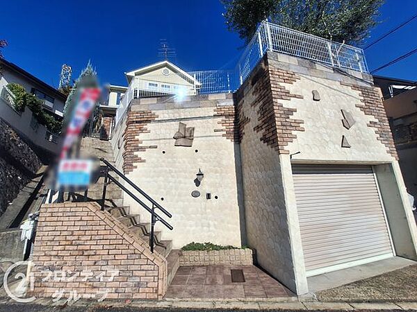 外観：326000223061