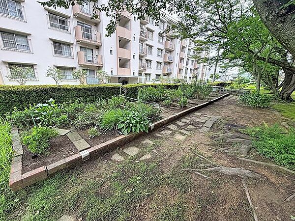 一坪庭では菜園等をお楽しみいただけます☆