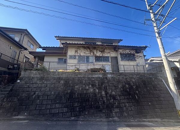 現地写真