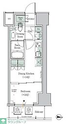 ワンルーフレジデンス中野南台 10階1DKの間取り