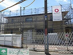 Camino de Sakura 203