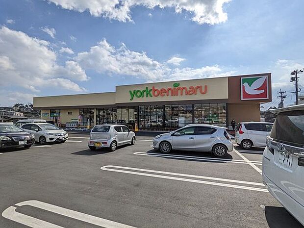 ヨークベニマル仙台小松島店 徒歩7分。 490m